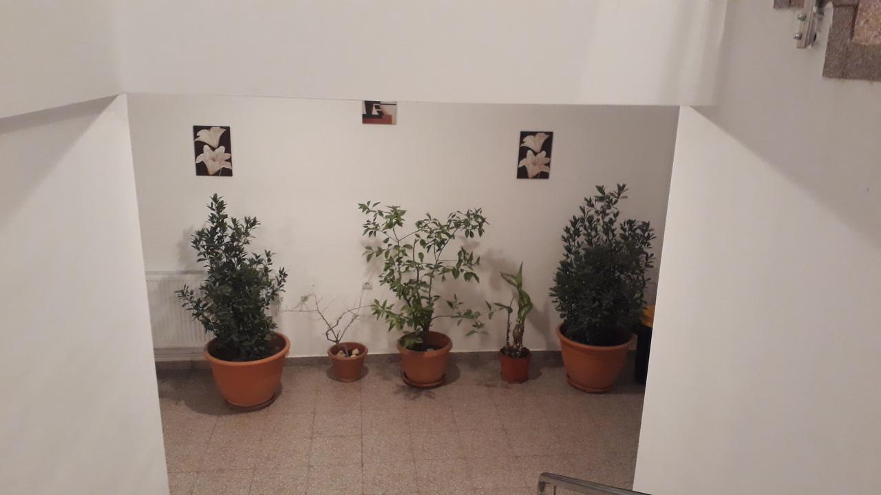 Casa Dobrescu Centura De Nord Hotell Craiova Eksteriør bilde